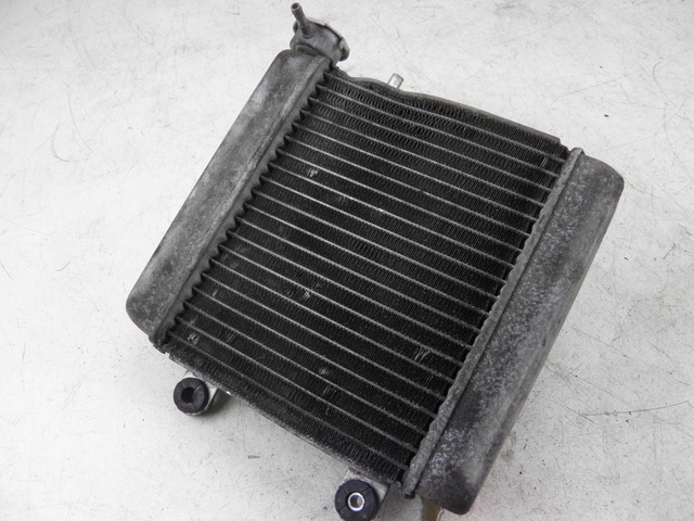 photo de RADIATEUR HONDA FES S-WING SWING ABS 125 (2007 - 2015)