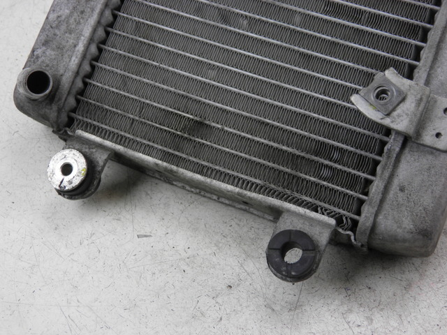 photo de RADIATEUR HONDA FES S-WING SWING ABS 125 (2007 - 2015)