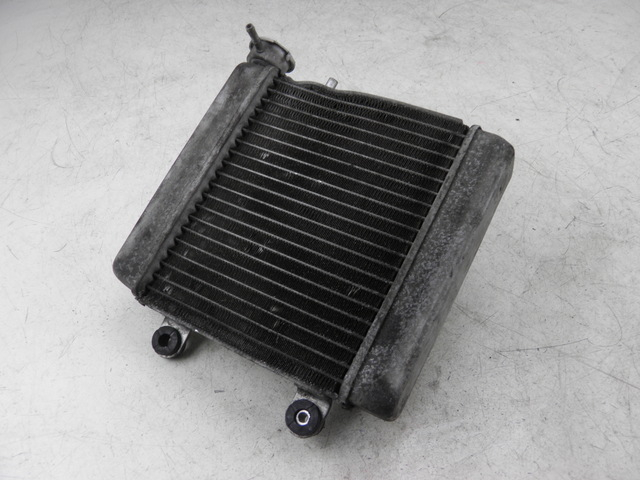 photo de RADIATEUR HONDA FES S-WING SWING ABS 125 (2007 - 2015)