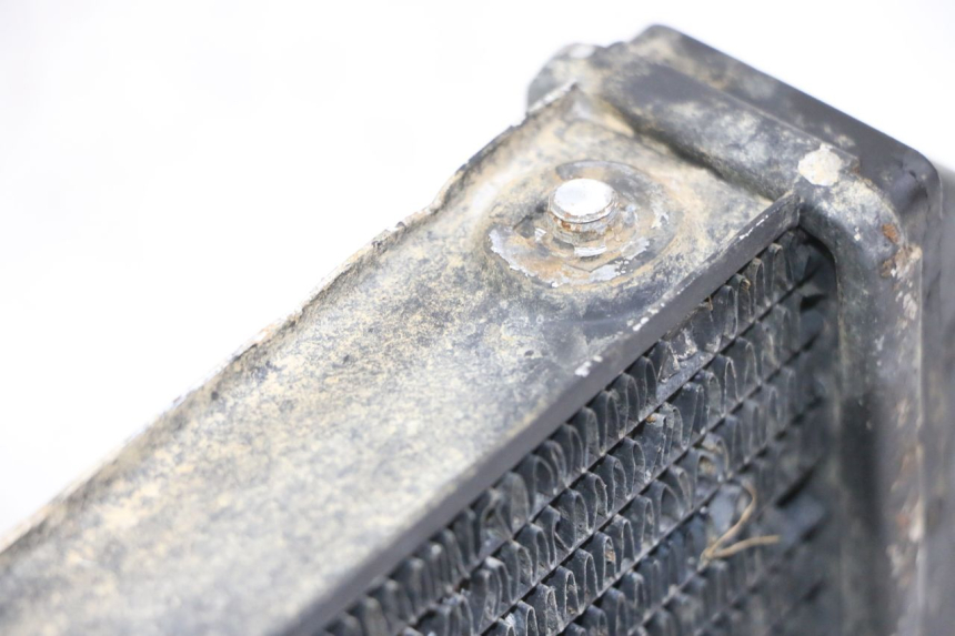 photo de RADIATEUR HONDA MTX TC02 125 (1987 - 1989)