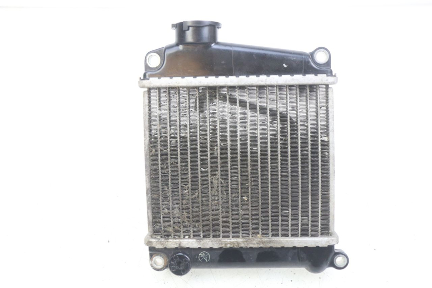 photo de RADIATEUR HONDA NHX LEAD 110 (2008 - 2010)