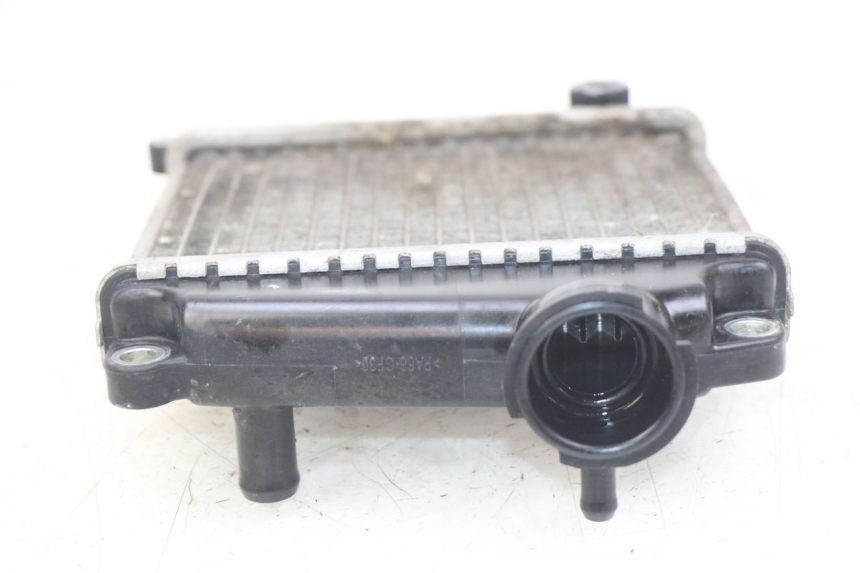 photo de RADIATEUR HONDA NHX LEAD 110 (2008 - 2010)