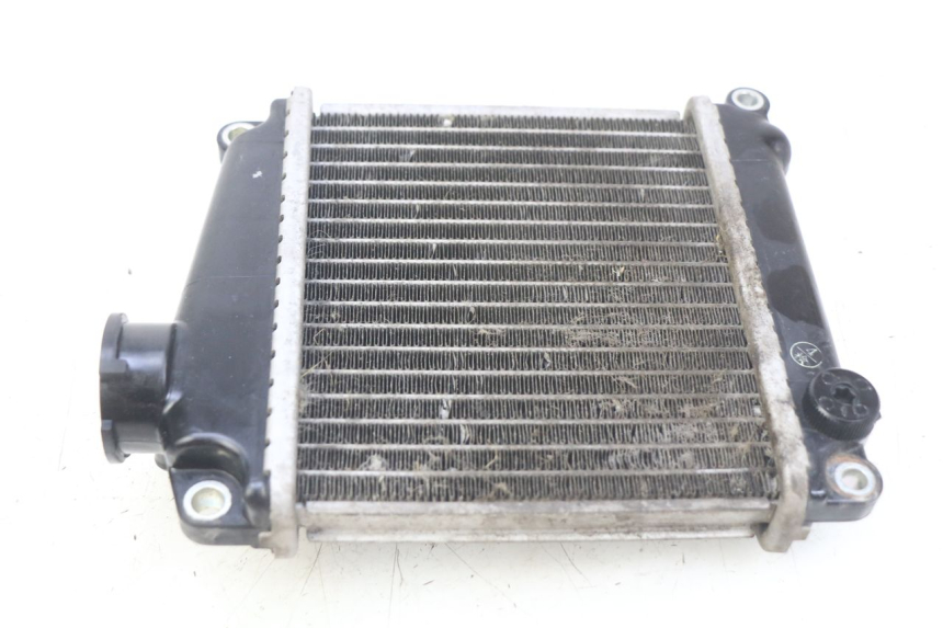 photo de RADIATEUR HONDA NHX LEAD 110 (2008 - 2010)