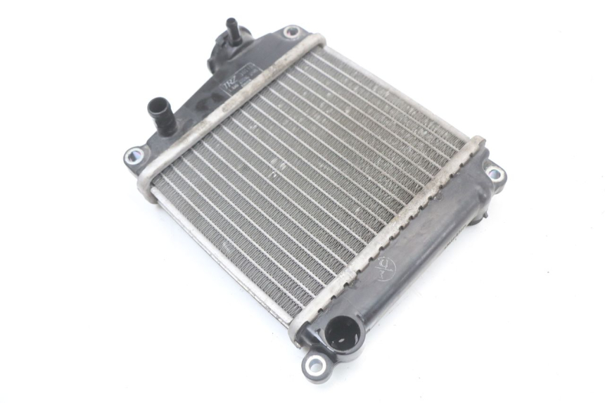 photo de RADIATEUR HONDA NHX LEAD 110 (2008 - 2010)