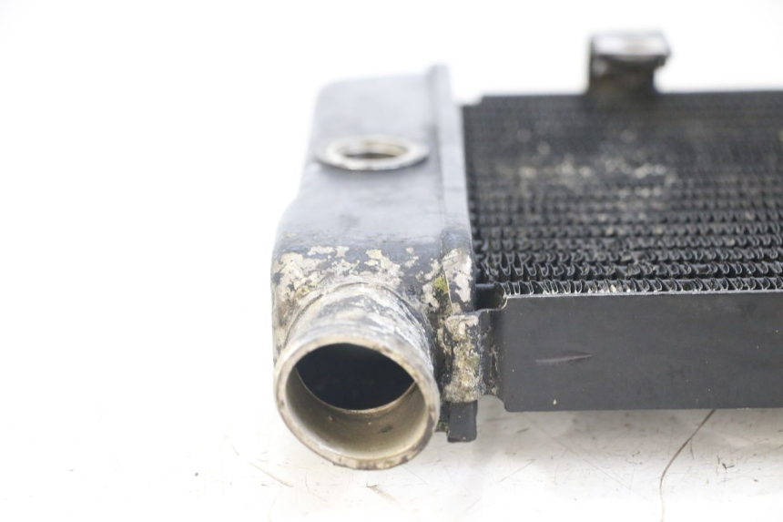 photo de RADIATEUR HONDA NTV DEAUVILLE 650 (1998 - 2001)