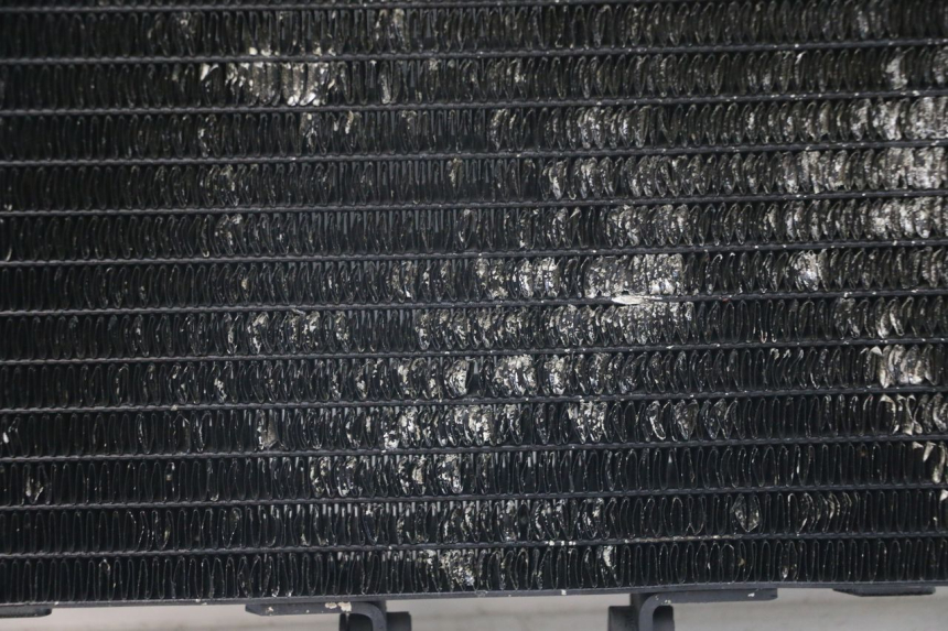 photo de RADIATEUR HONDA NTV DEAUVILLE 650 (1998 - 2001)