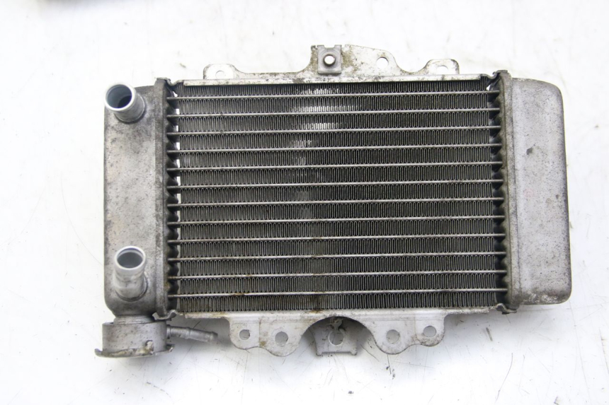 photo de RADIATEUR HONDA PES PS I 125 (2006 - 2012)