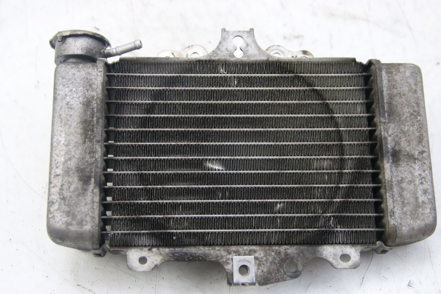 photo de RADIATEUR HONDA PES PS I 125 (2006 - 2012)