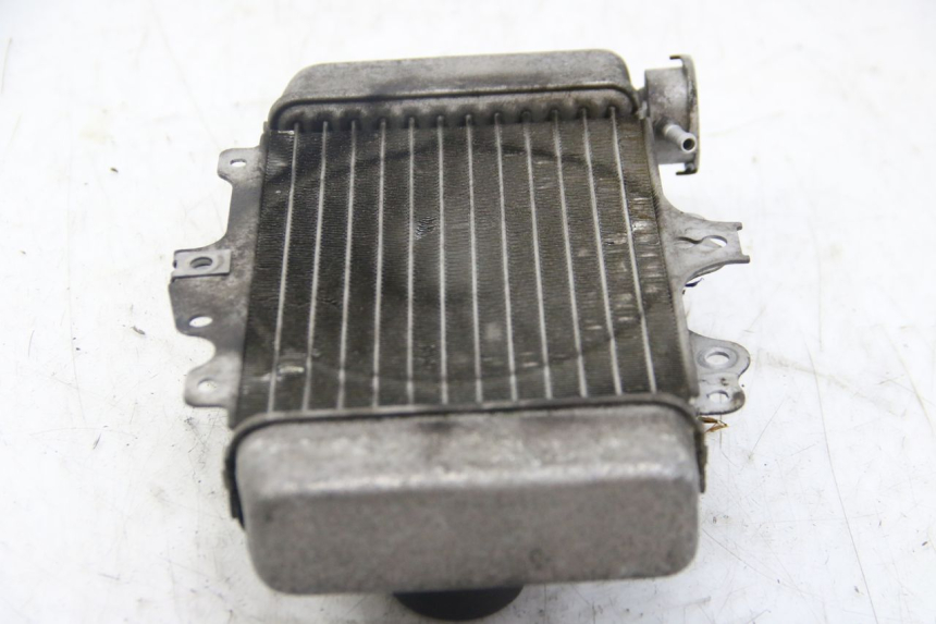 photo de RADIATEUR HONDA PES PS I 125 (2006 - 2012)