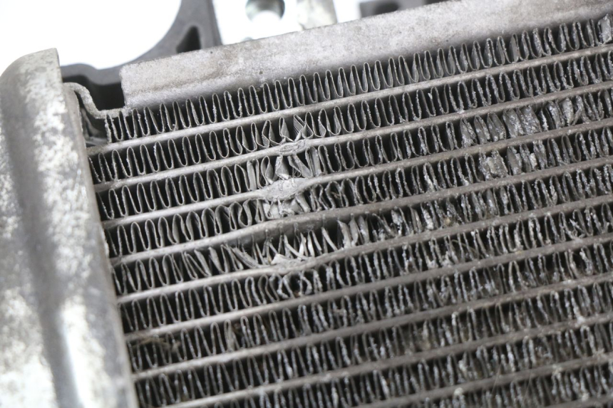 photo de RADIATEUR HONDA SH ABS 125 (2012 - 2017)