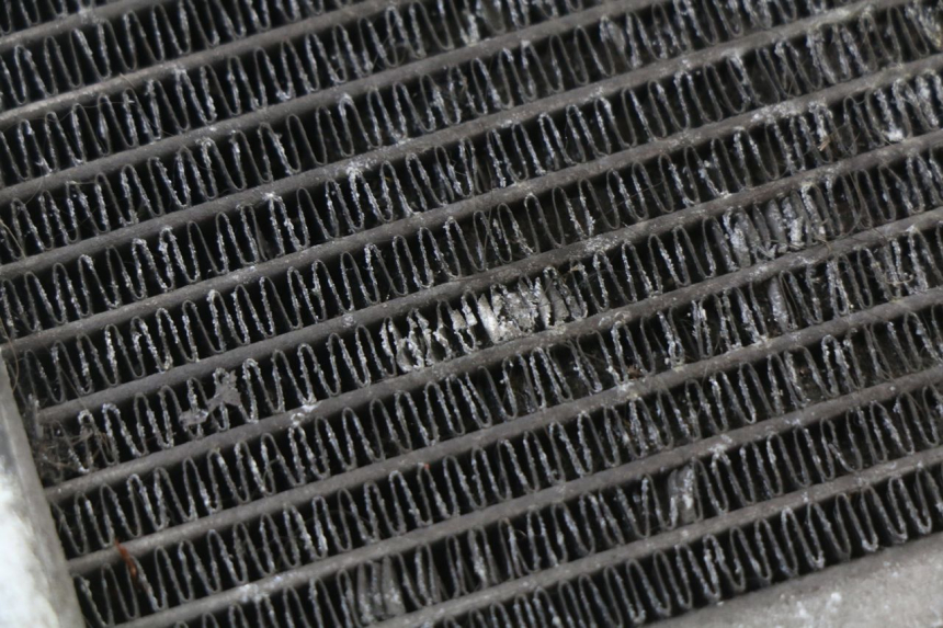 photo de RADIATEUR HONDA SH ABS 125 (2012 - 2017)