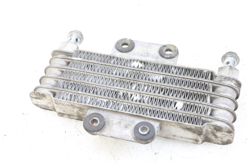 photo de RADIATEUR HUILE HYOSUNG GV AQUILA 125 (2000 - 2004) - Zoom état d’usage