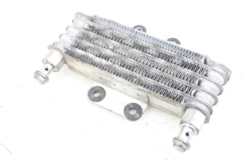 photo de RADIATEUR HUILE HYOSUNG GV AQUILA 125 (2000 - 2004) - Vue d’ensemble