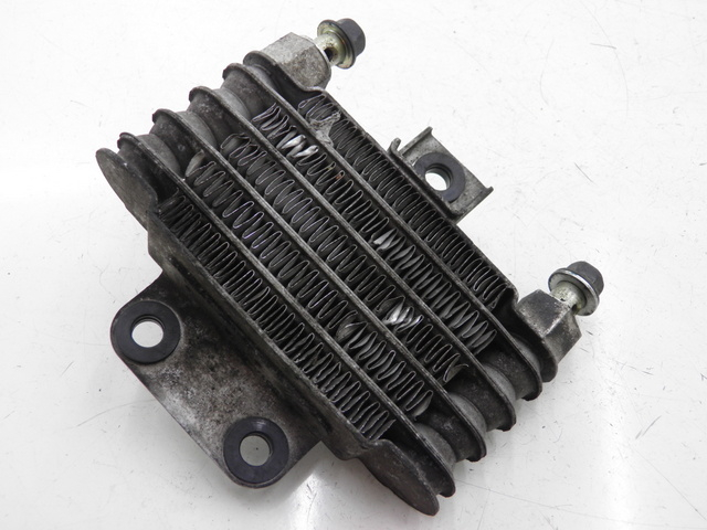 photo de RADIATEUR HUILE DAELIM S2 FI 125 (2008 - 2017)