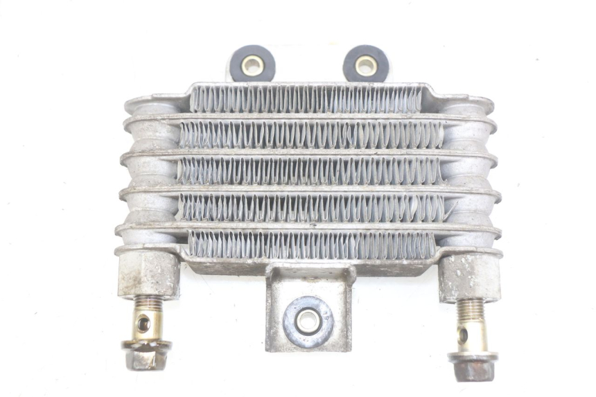 photo de RADIATEUR HUILE DAELIM VJ ROADWIN FI 125 (2008 - 2017)