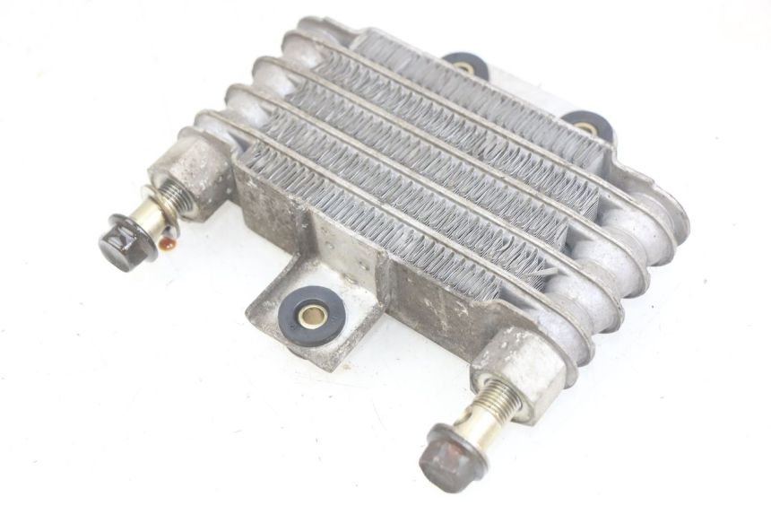 photo de RADIATEUR HUILE DAELIM VJ ROADWIN FI 125 (2008 - 2017)