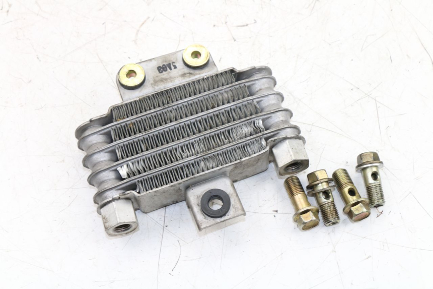 photo de RADIATEUR HUILE DAELIM VJ ROADWIN FI 125 (2008 - 2017)