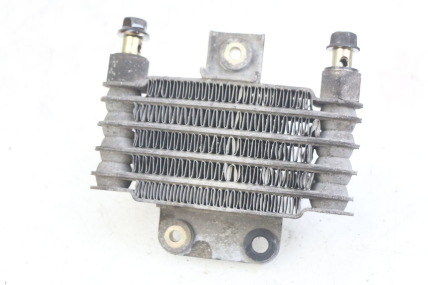 photo de RADIATEUR HUILE DAELIM VL DAYSTAR 125 (2000 - 2011)