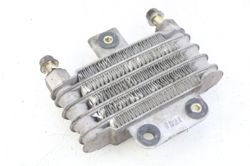 photo de RADIATEUR HUILE DAELIM VL DAYSTAR 125 (2000 - 2011)