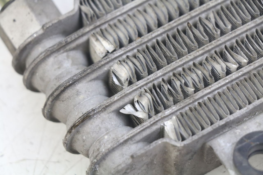 photo de RADIATEUR HUILE DAELIM VL DAYSTAR 125 (2000 - 2011)