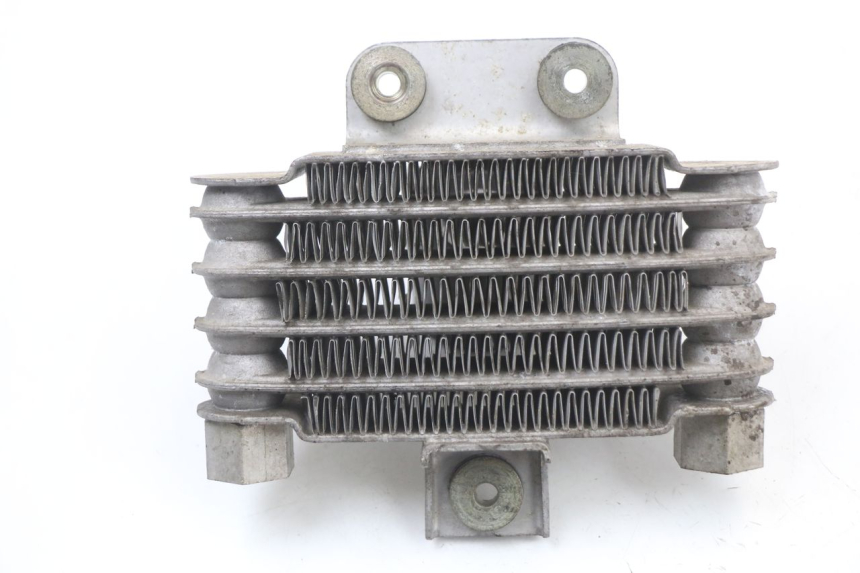 photo de RADIATEUR HUILE DAELIM VL DAYSTAR 125 (2000 - 2011)
