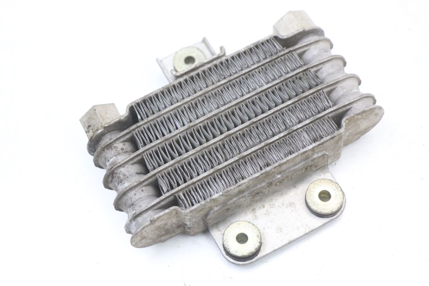 photo de RADIATEUR HUILE DAELIM VL DAYSTAR 125 (2000 - 2011)
