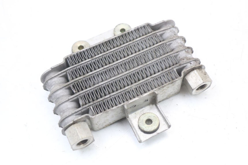 photo de RADIATEUR HUILE DAELIM VL DAYSTAR 125 (2000 - 2011)