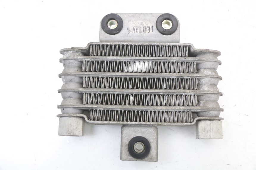 photo de RADIATEUR HUILE DAELIM VL DAYSTAR 125 (2000 - 2011)