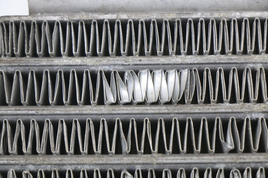 photo de RADIATEUR HUILE DAELIM VL DAYSTAR 125 (2000 - 2011)