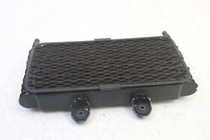 photo de RADIATEUR HUILE SUZUKI GSF N BANDIT 600 (1996 - 1999) - Zoom état d’usage