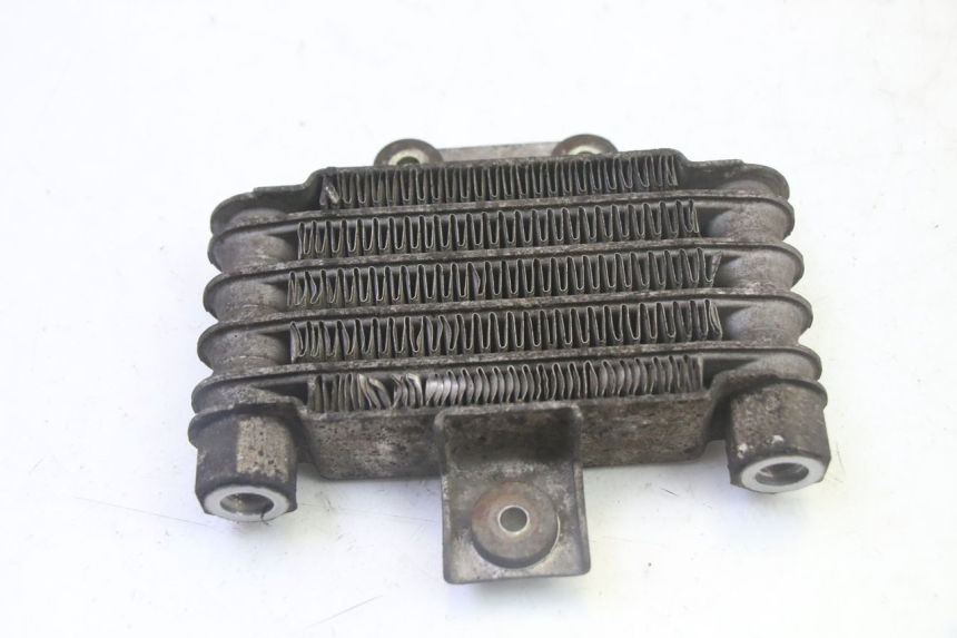 photo de RADIATEUR HUILE DAELIM HISTORY 125 (2001 - 2002)