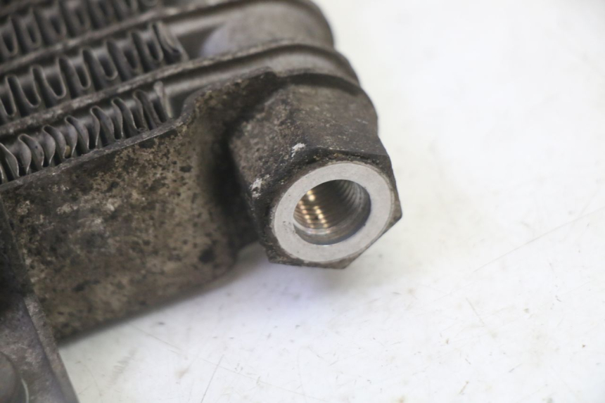 photo de RADIATEUR HUILE DAELIM HISTORY 125 (2001 - 2002)