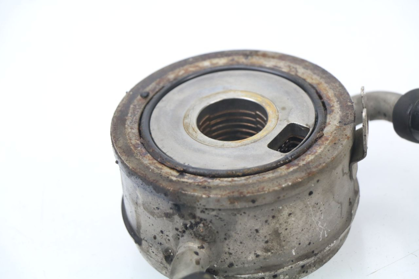 photo de RADIATEUR HUILE HONDA CBR 929 RR FIREBLADE 900 (2000 - 2001)