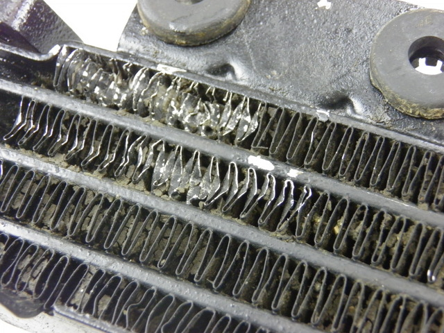 photo de RADIATEUR HUILE KYMCO QUANNON 125 (2007 - 2014)