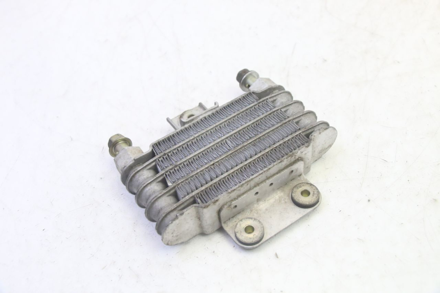 photo de RADIATEUR HUILE DAELIM S1 125 (2007 - 2016) - Zoom état d’usage