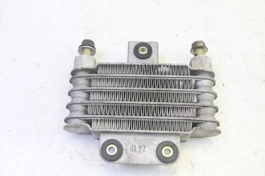 photo de RADIATEUR HUILE DAELIM S1 125 (2007 - 2016) - Gros plan technique