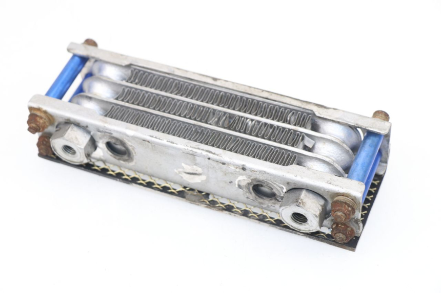 photo de RADIATEUR HUILE SKYTEAM DAX 125 (2010 - 2020)