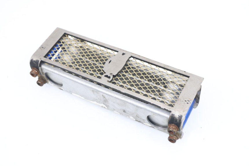 photo de RADIATEUR HUILE SKYTEAM DAX 125 (2010 - 2020)