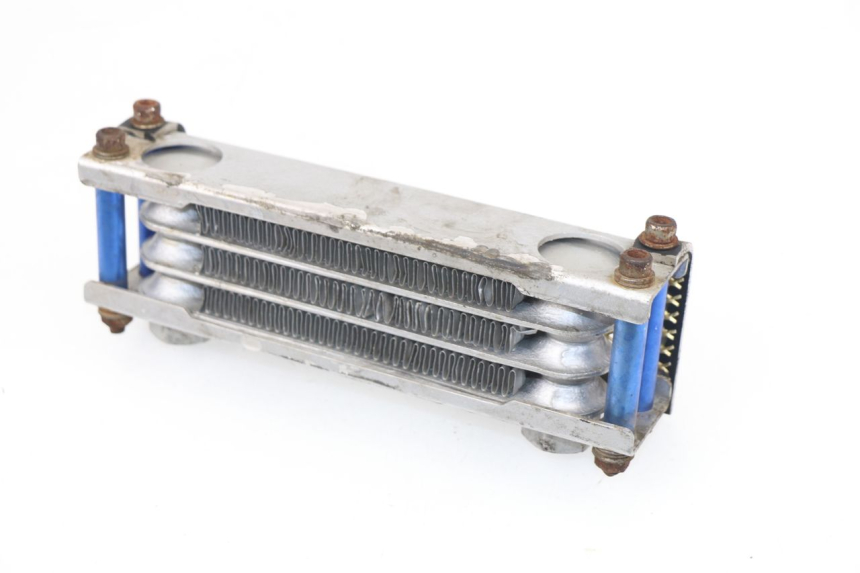 photo de RADIATEUR HUILE SKYTEAM DAX 125 (2010 - 2020)