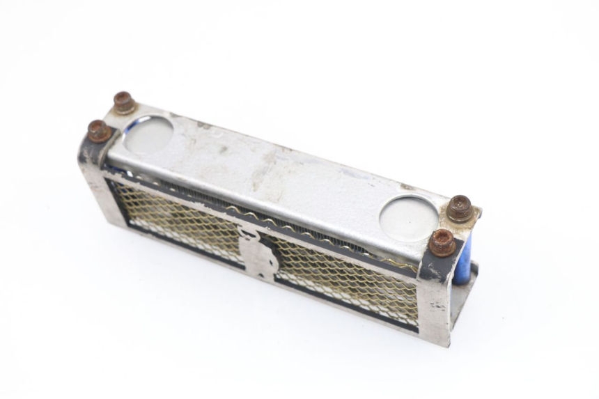 photo de RADIATEUR HUILE SKYTEAM DAX 125 (2010 - 2020)