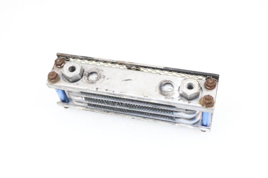 photo de RADIATEUR HUILE SKYTEAM DAX 125 (2010 - 2020)