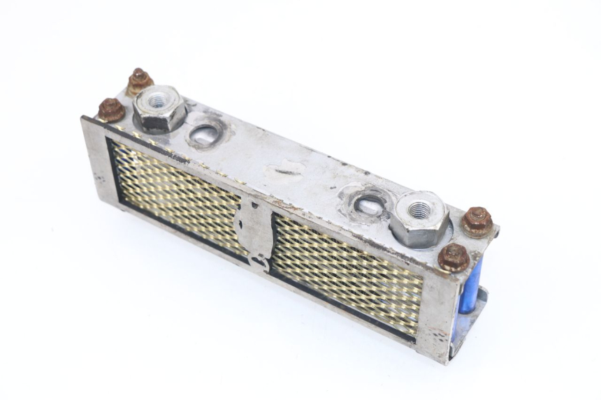photo de RADIATEUR HUILE SKYTEAM DAX 125 (2010 - 2020)