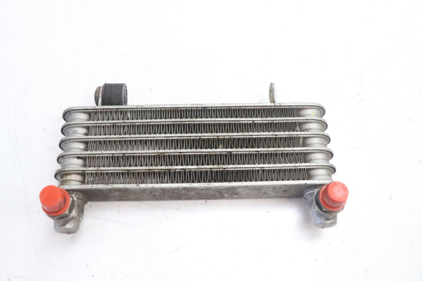 photo de RADIATEUR HUILE DUCATI SS IE DS CARENEE 1000 (2002 - 2006) - Vue principale
