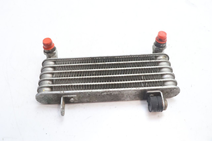 photo de RADIATEUR HUILE DUCATI SS IE DS CARENEE 1000 (2002 - 2006) - Détail de la pièce