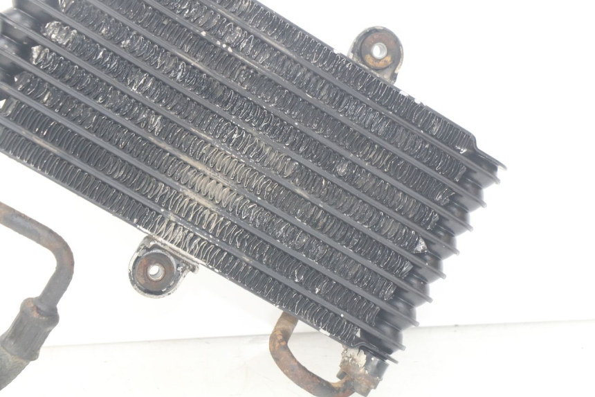 photo de RADIATEUR HUILE SUZUKI XF FREEWIND 650 (1997 - 2003)