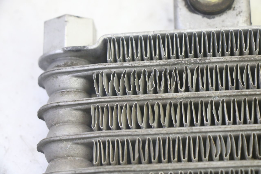 photo de RADIATEUR HUILE DAELIM VJ ROADWIN FI 125 (2008 - 2017) - Zoom état d’usage