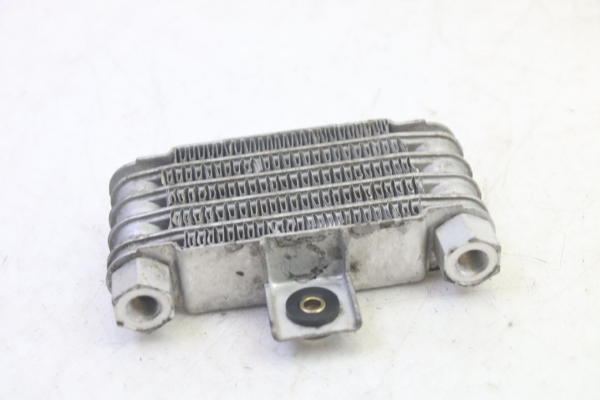 photo de RADIATEUR HUILE DAELIM VJ ROADWIN FI 125 (2008 - 2017) - Autre angle de vue