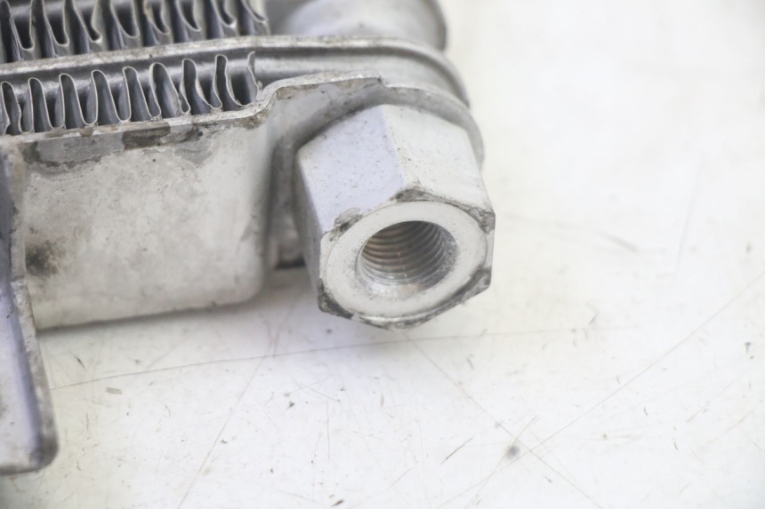 photo de RADIATEUR HUILE DAELIM VJ ROADWIN FI 125 (2008 - 2017) - Vue d’ensemble