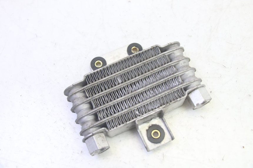 photo de RADIATEUR HUILE DAELIM VJ ROADWIN FI 125 (2008 - 2017) - Marquages et références