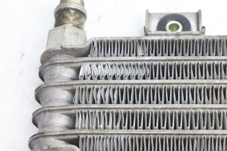 photo de RADIATEUR HUILE DAELIM VJ ROADWIN 125 (2004 - 2007) - Détail de la pièce
